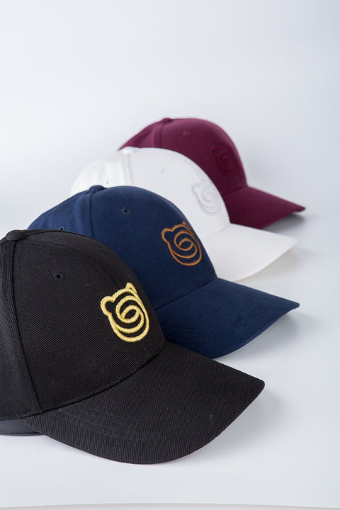 MOBIUSBEAR Curved Brim Cap