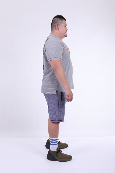 PROUDWEAR PRIDE Tee in Gray Melange