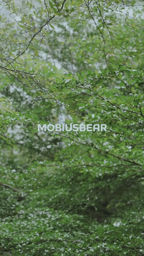 MOBIUSBEAR Carabiner